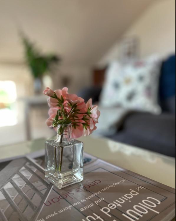 The Pink Cottage Upstairs Suite & Garden Summer Room Whitehead Exterior foto